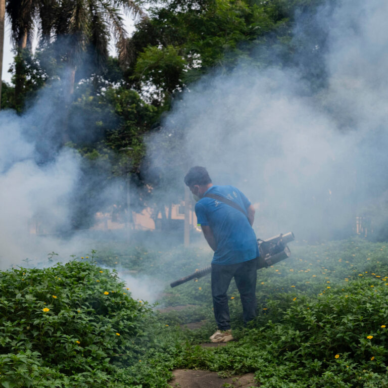 China’s Fight Against Chikungunya Virus Tests a City’s Post-Covid Patience